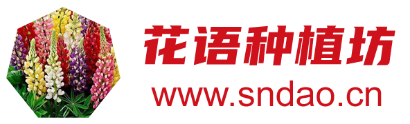 山间秘境：心灵的悠然之旅-头条-健康饮食生活录-